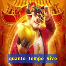 quanto tempo vive um passarinho bem-te-vi